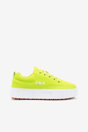 FILA Sandblast Low Sneakers White,Womens Shoes | CA.MTVWEI682